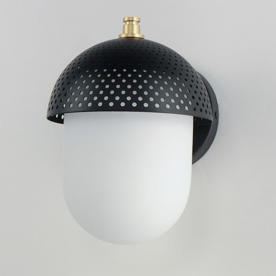 1 Light Outdoor Wall Sconce