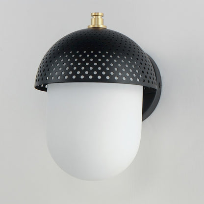 1 Light Outdoor Wall Sconce