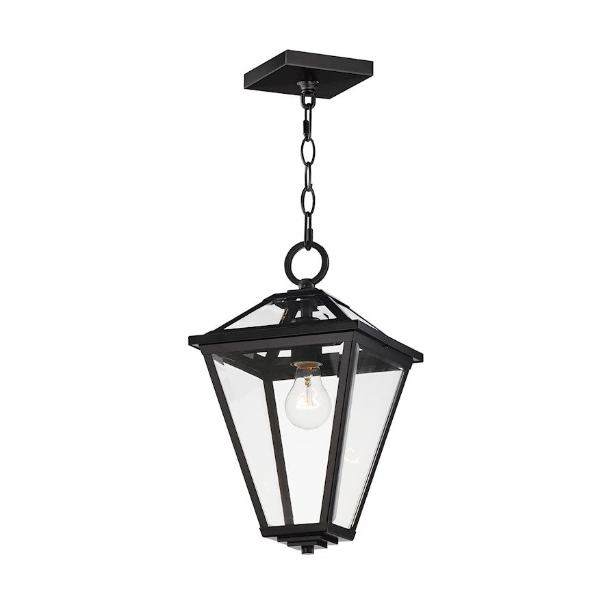 1 Light 16" Outdoor Pendant, Black