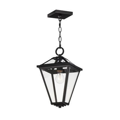 1 Light 16" Outdoor Pendant, Black