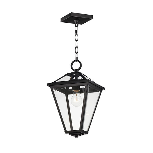 1 Light 16" Outdoor Pendant, Black