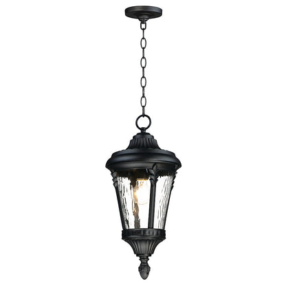 1 Light Outdoor Hanging Pendant, Black