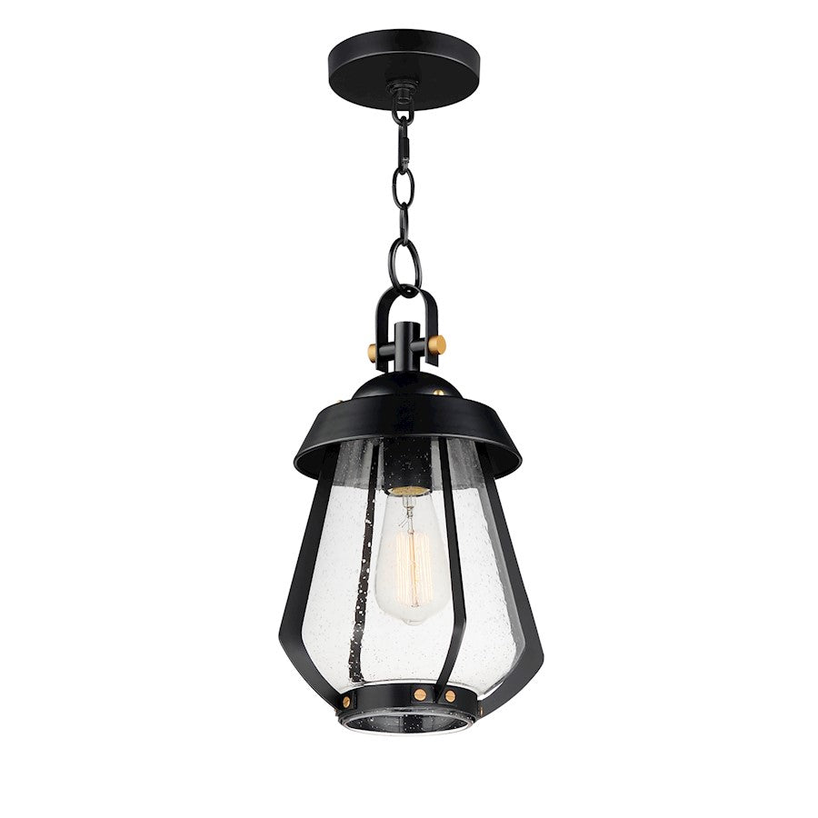 Outdoor Pendant, Black/Brass/Seedy