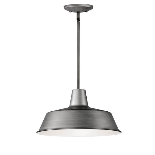 1 Light Outdoor Pendant