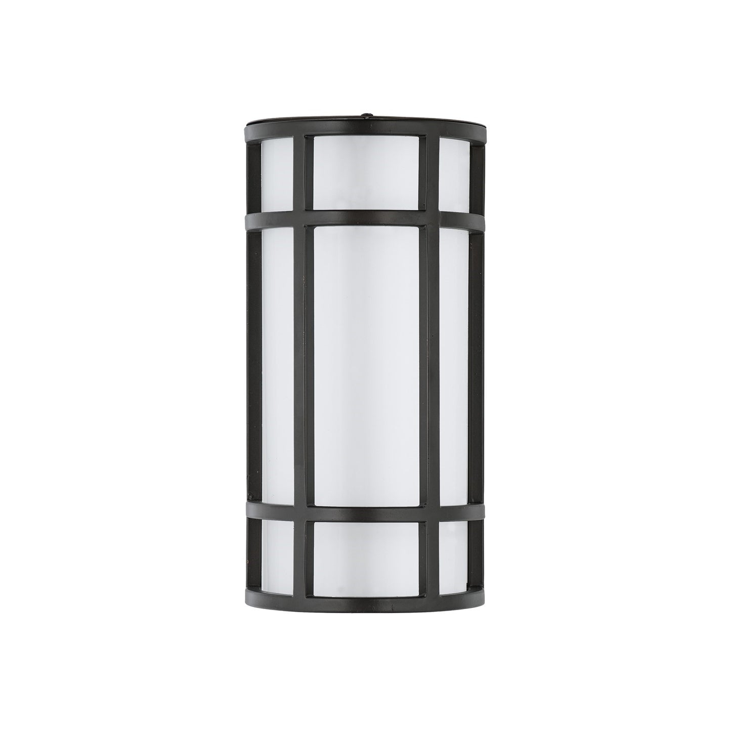 LED 1 Light Outdoor Wall Sconce
