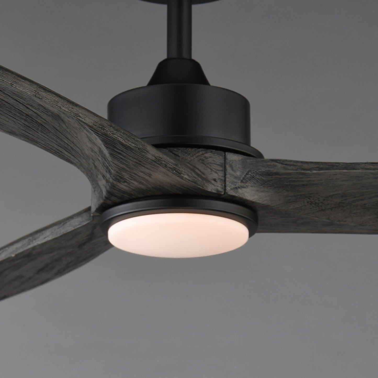 Maxim Lighting Woodwind 1Lt 52" Indoor Ceiling Fan, Blk/Grey//Wht