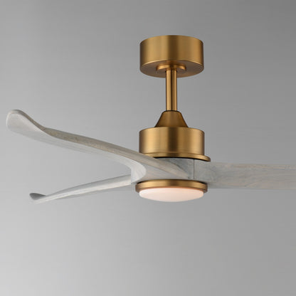 Maxim Lighting Woodwind 1Lt 52" Indoor Ceiling Fan, Brass/White