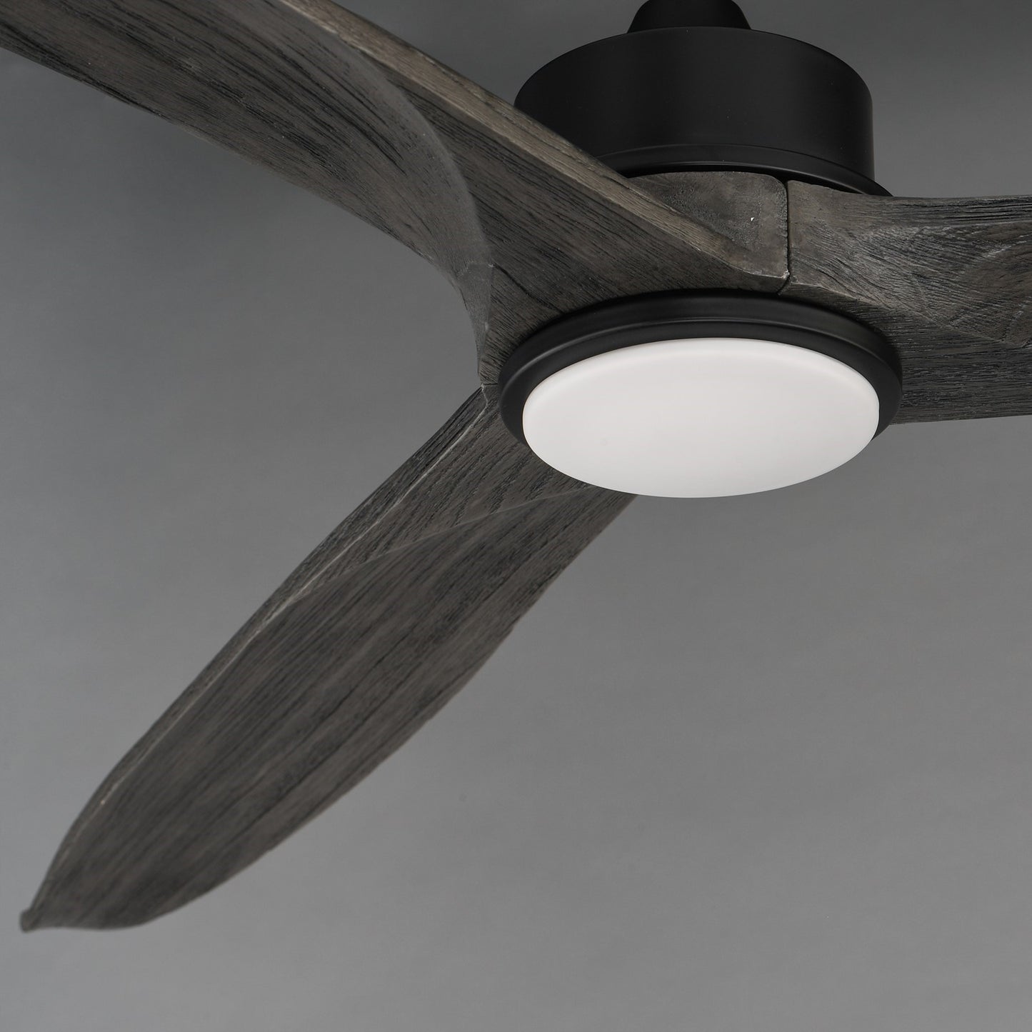 Maxim Lighting Woodwind 1Lt 72" Indoor Ceiling Fan, Black/White