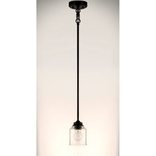 1 Light Pendant