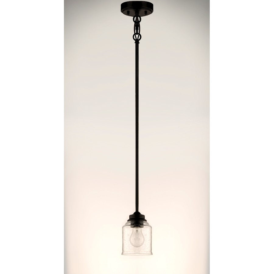 1 Light Pendant