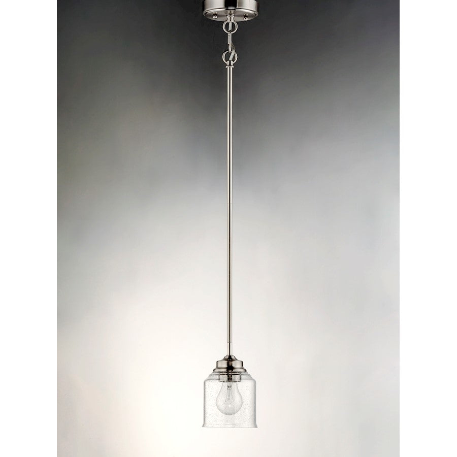 1 Light Pendant