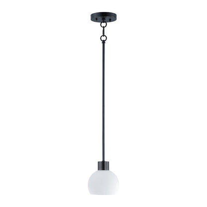 1 Light Mini Pendant