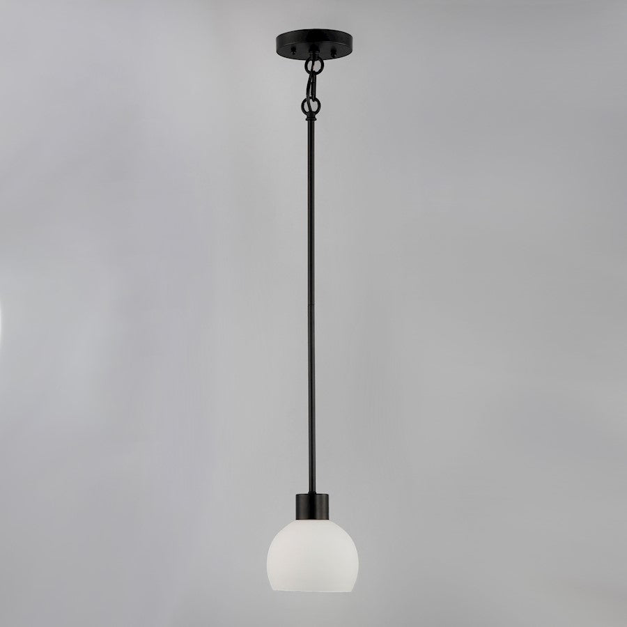 1 Light Mini Pendant