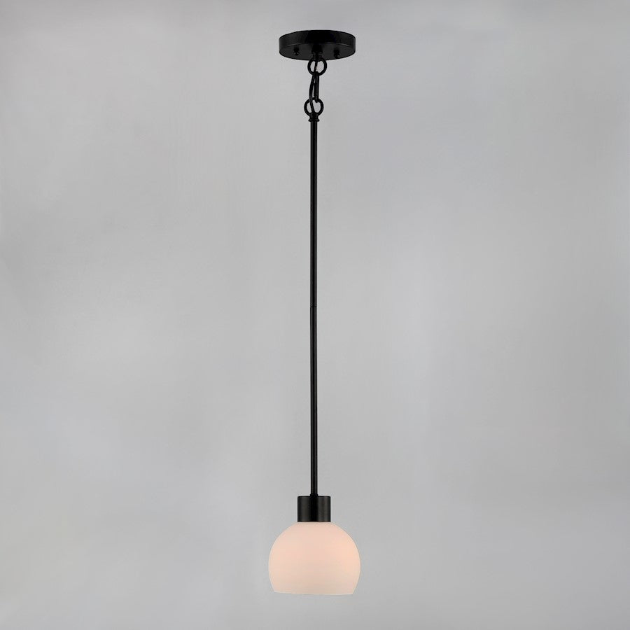 1 Light Mini Pendant