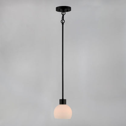 1 Light Mini Pendant