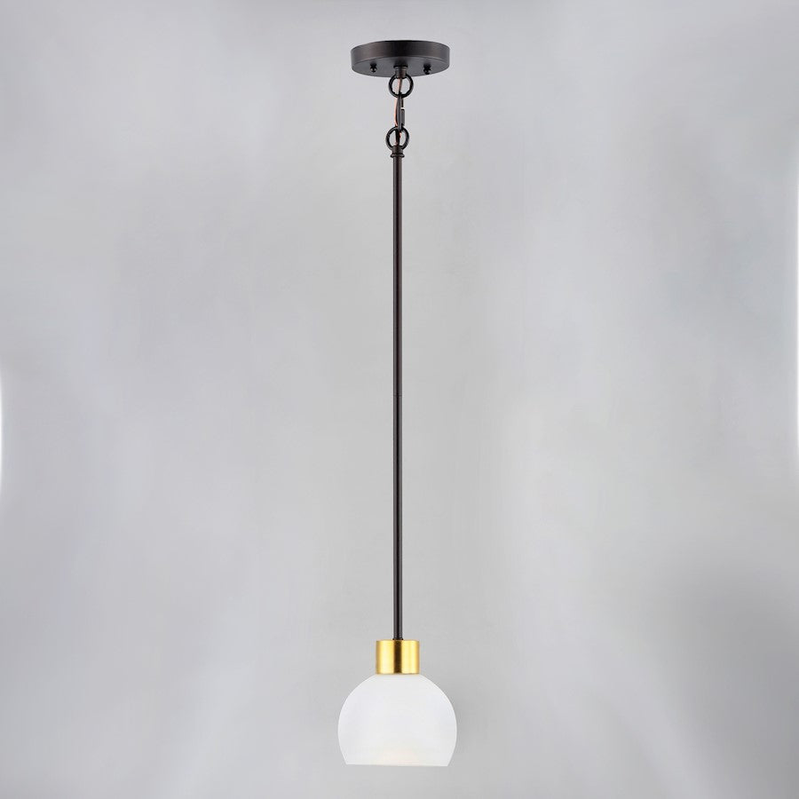 1 Light Mini Pendant