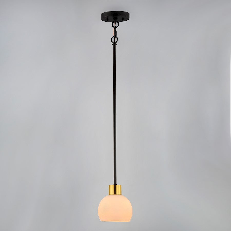 1 Light Mini Pendant