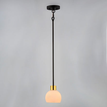 1 Light Mini Pendant