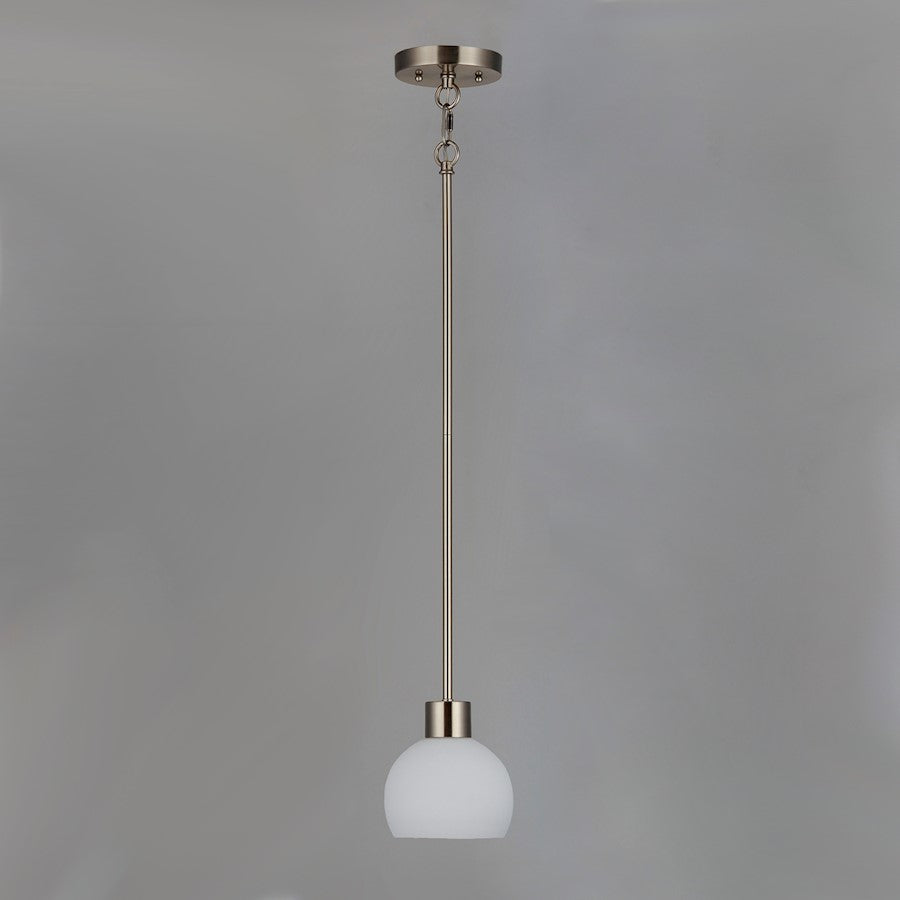 1 Light Mini Pendant