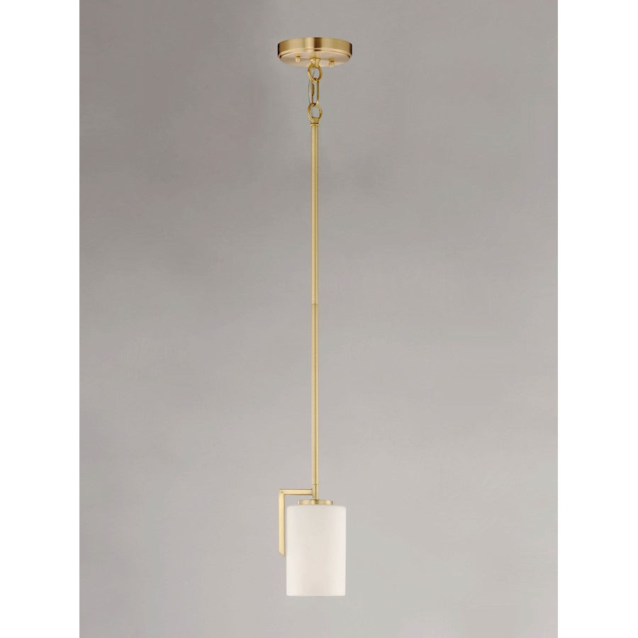 1 Light Pendant