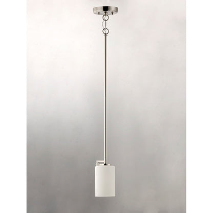1 Light Pendant