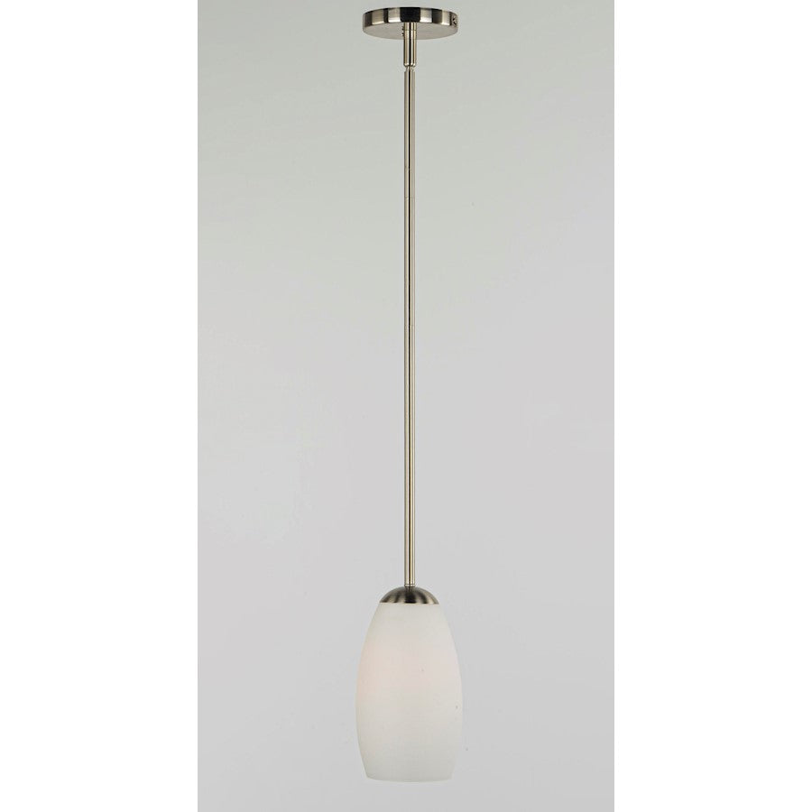 1 Light Mini Pendant