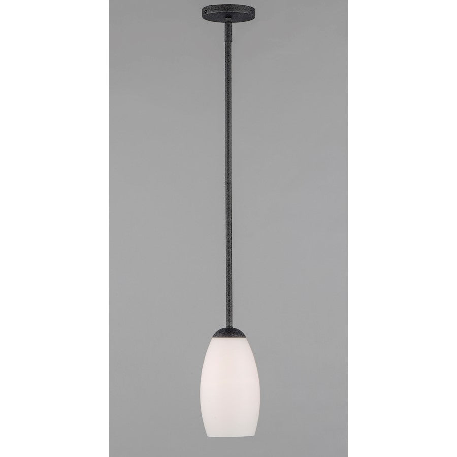 1 Light Mini Pendant