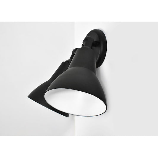 2 Light Outdoor Wall Sconce
