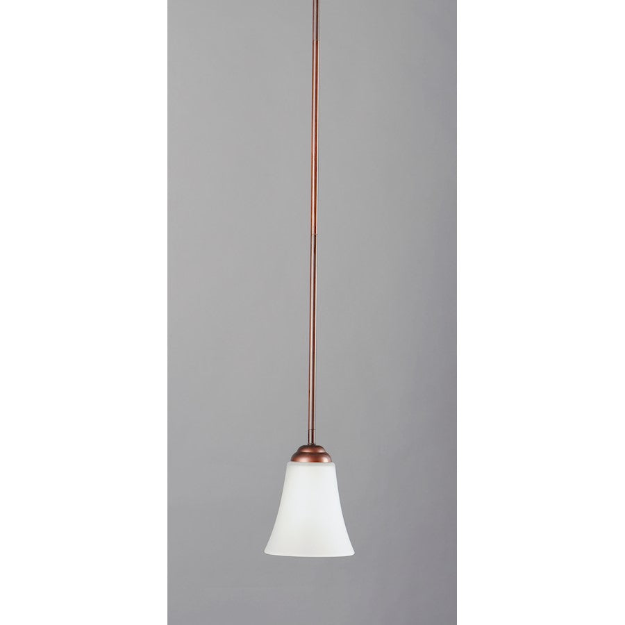 1 Light Mini Pendant