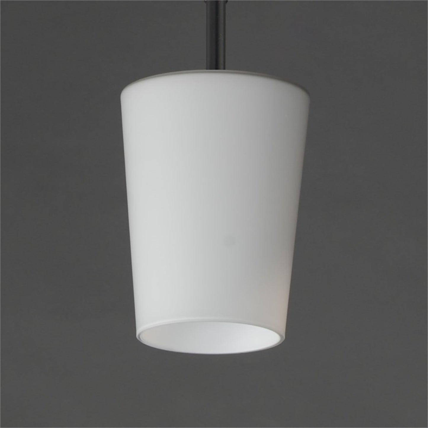 Maxim Lighting Durham 1 Light 10.5" Single Pendant, Black/White
