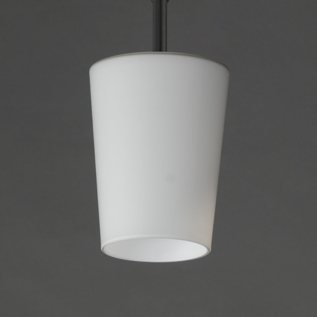 Maxim Lighting Durham 1 Light 10.5" Single Pendant, Black/White