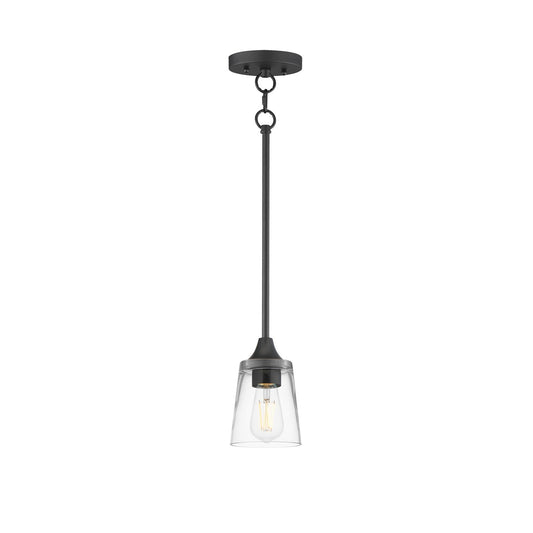 Maxim Lighting Hudson 1 Light 8" Mini Pendant, Black/Clear