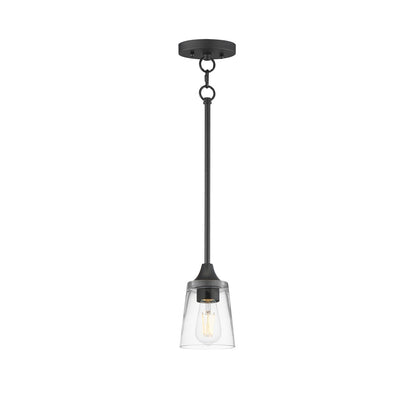 Maxim Lighting Hudson 1 Light 8" Mini Pendant, Black/Clear