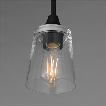 Maxim Lighting Hudson 1 Light 8" Mini Pendant, Black/Clear