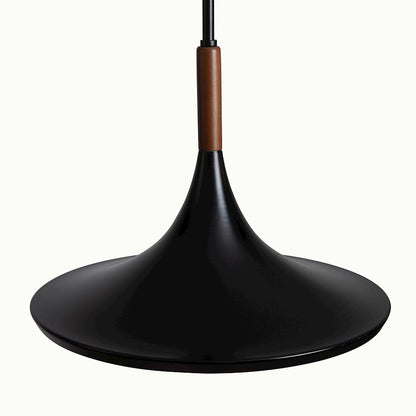 1 Light 13" Pendant, Black