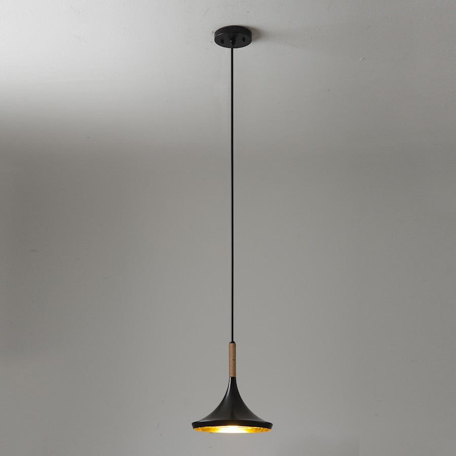 1 Light 10" Pendant, Black