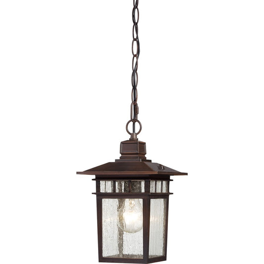Nuvo Cove Neck 12in 1-Light Outdoor Hanging Lantern | Transitional Rustic Bronze and Clear Seeded Glass | Covered Patio & Entryway | 7 x 7 | Model 60-4955
