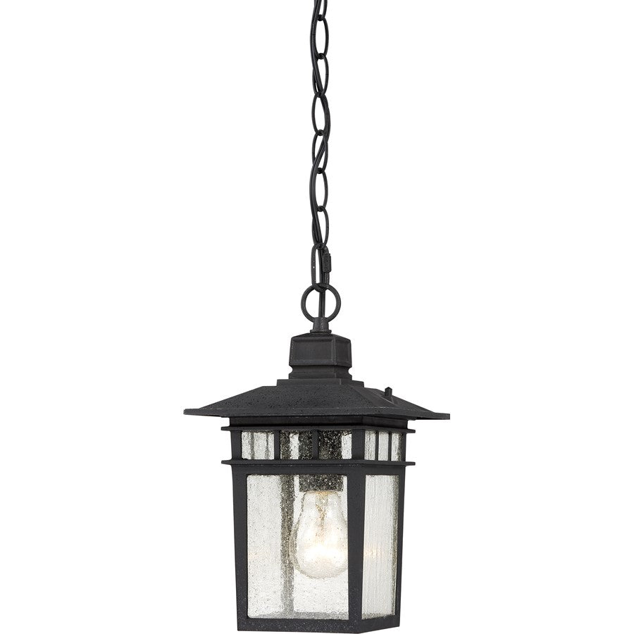 Nuvo Cove Neck 12in 1-Light Outdoor Hanging Lantern | Transitional Textured Black and Clear Seeded Glass | Covered Patios & Entryways | 7 | Model 60-4956