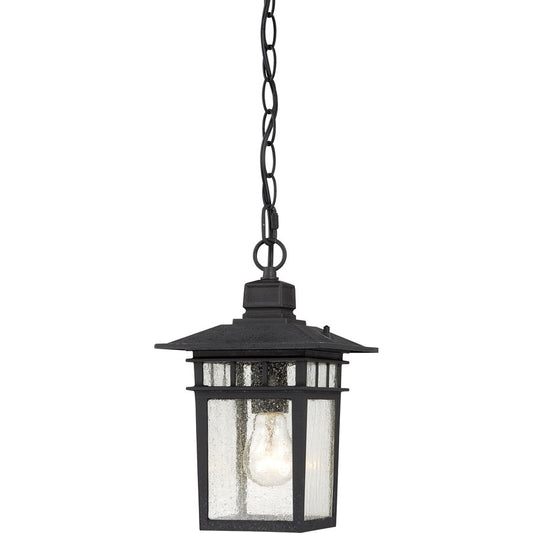Nuvo Cove Neck 12in 1-Light Outdoor Hanging Lantern | Transitional Textured Black and Clear Seeded Glass | Covered Patios & Entryways | 7 | Model 60-4956