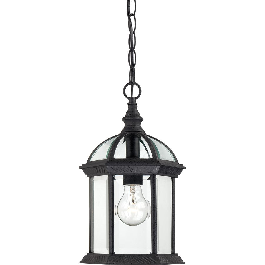Nuvo Boxwood 14in 1-Light Outdoor Hanging Lantern | Traditional Textured Black and Clear Beveled Glass | Covered Patio & Entryway | 8 x 8 | Model 60-4979
