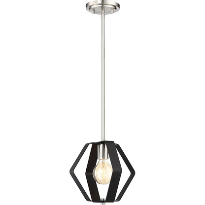 1 Light Pendant