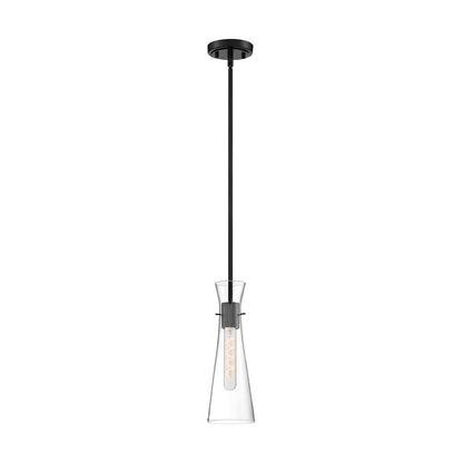 1 Light Mini Pendant