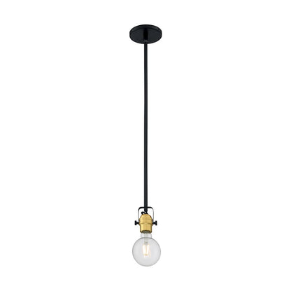 1 Light Mini Pendant, Black