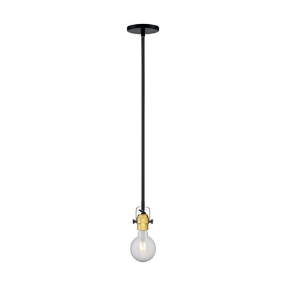 1 Light Mini Pendant, Black