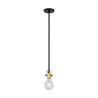 1 Light Mini Pendant, Black