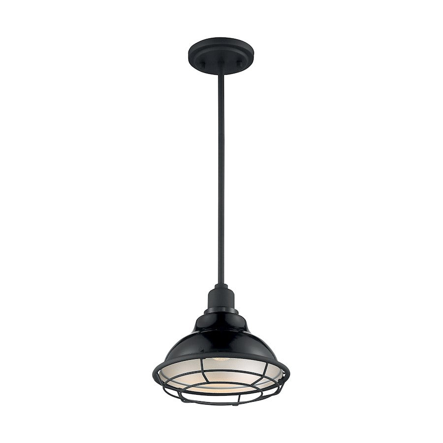1 Light Pendant