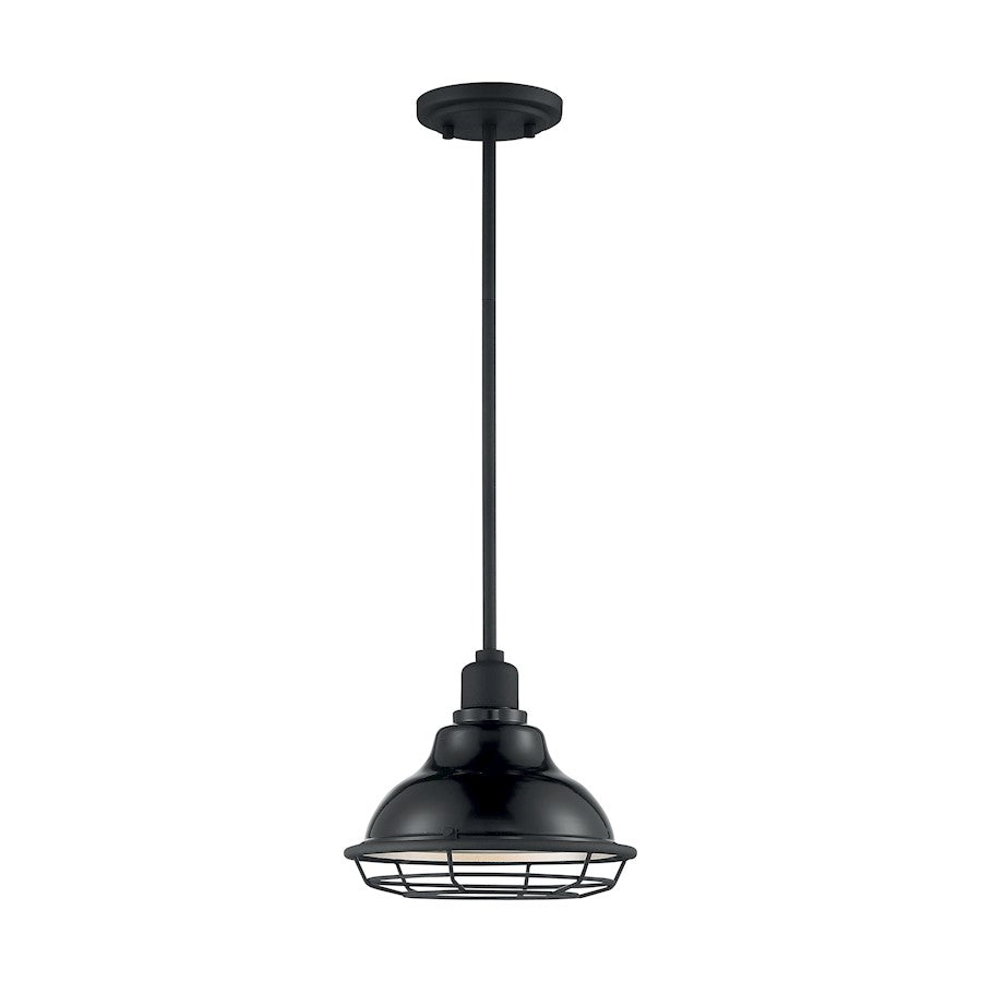 1 Light Pendant