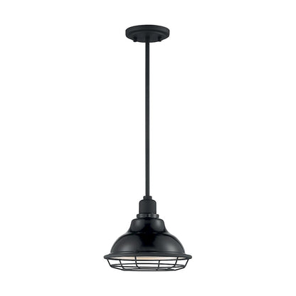 1 Light Pendant