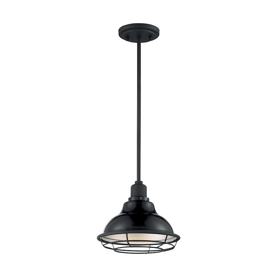 1 Light Pendant