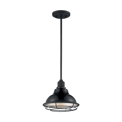 1 Light Pendant